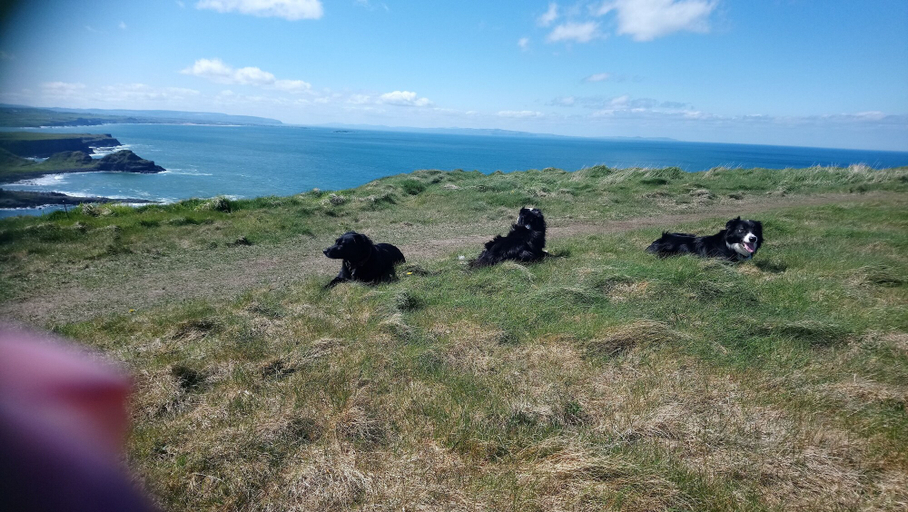 Others 5, Dunseverick Ramblers Rest, Causeway Coast and Glens