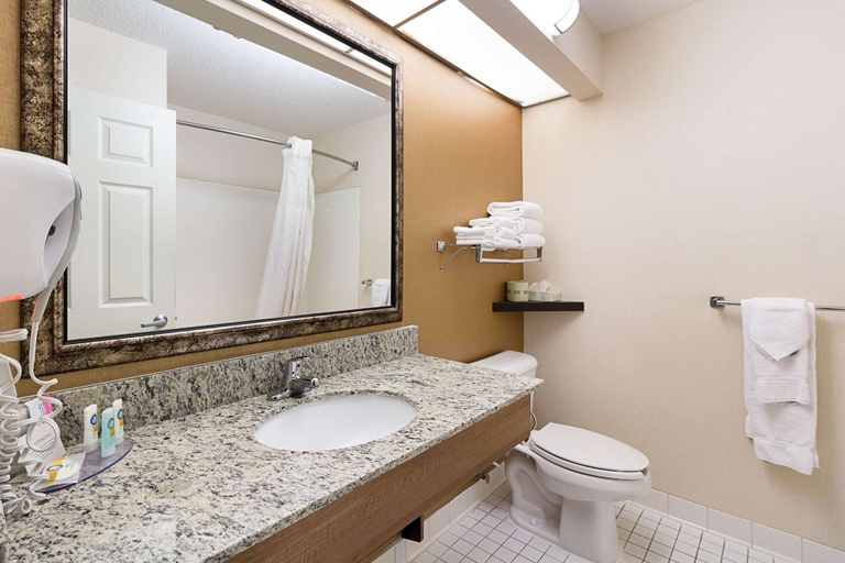 Bathroom 4, Quality Inn Fairmont, Martin