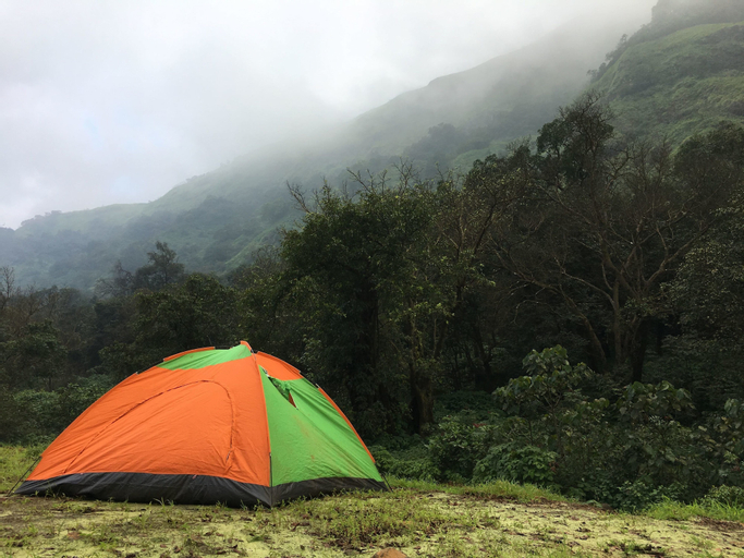 Canary Forest Camping, Pune