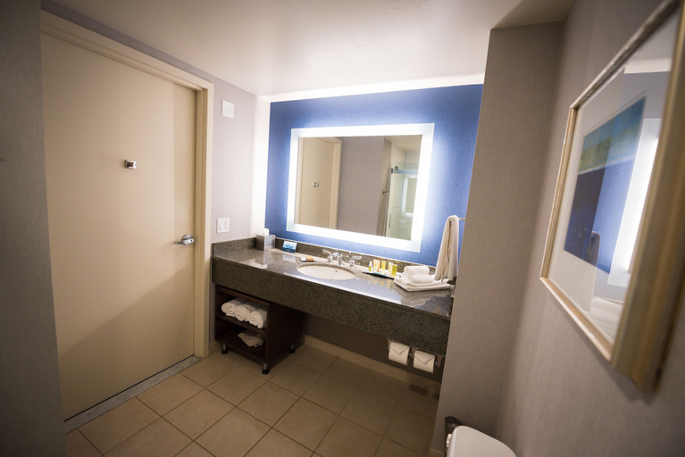 Bathroom 5, Hilton Scranton & Conference Center, Lackawanna