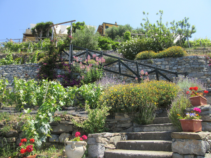Others 5, Il Borgo di Campi, La Spezia