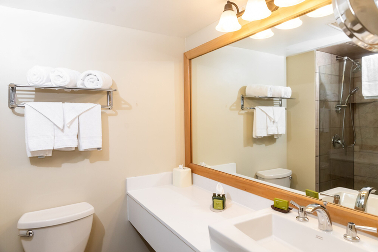 Bathroom 4, Hidden Valley Resort, an Ascend Collection Resort, Muskoka