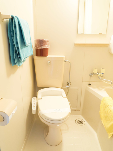 Bathroom 4, Hikone Station Hotel, Hikone