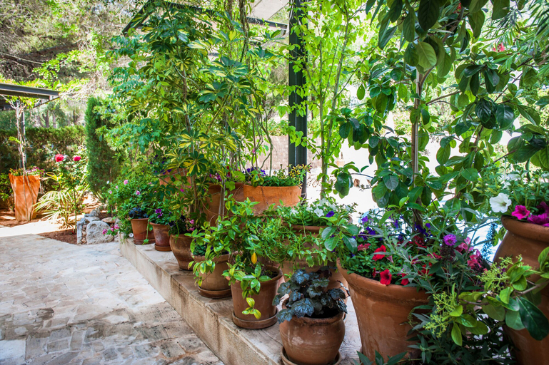 Others 4, Apartamentos Cala Murada Minigolf, Baleares