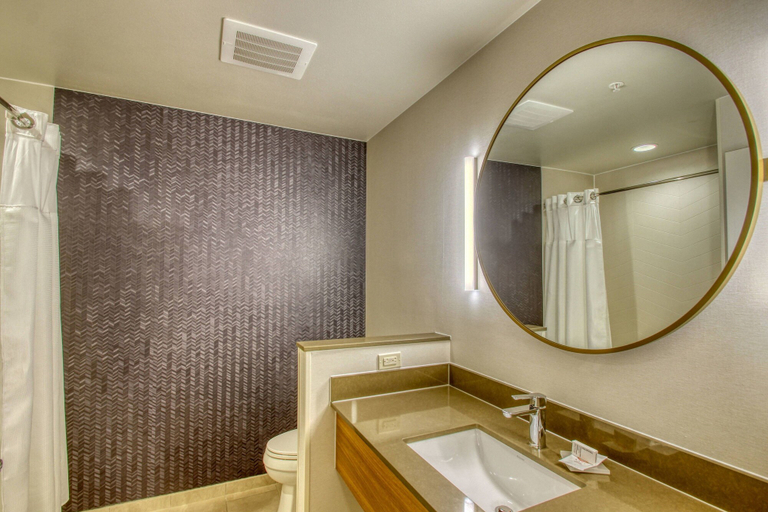 Bathroom 4, Fairfield Inn & Suites by Marriott Appleton, Outagamie