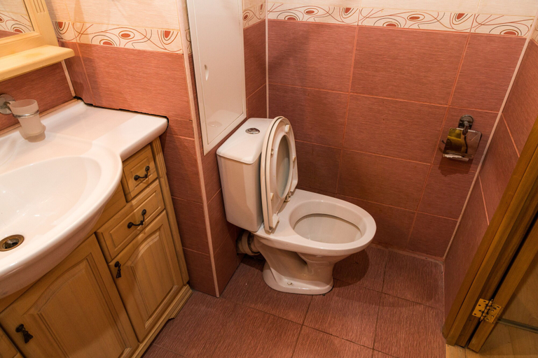 Bathroom 3, Moskva4you on Gilyarovskogo 12, Central