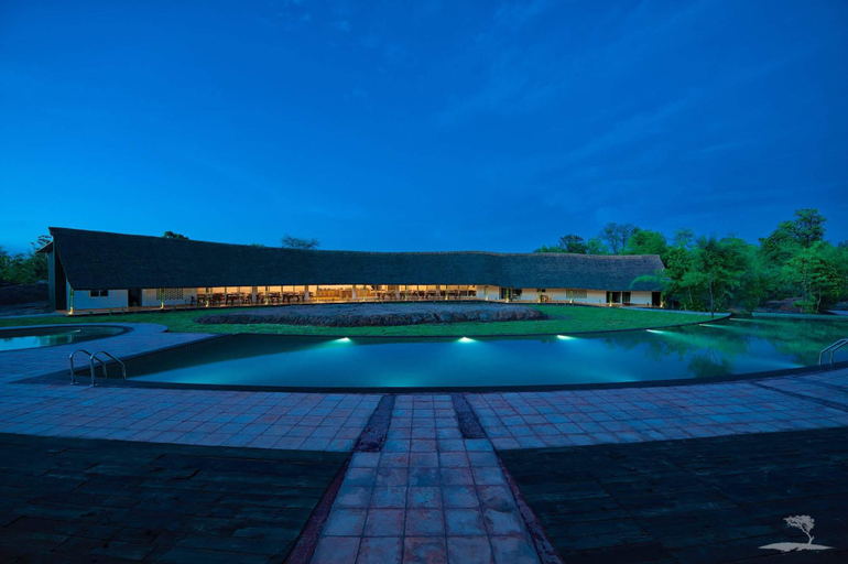 Sport & Beauty 1, Red Earth Tadoba, Chandrapur