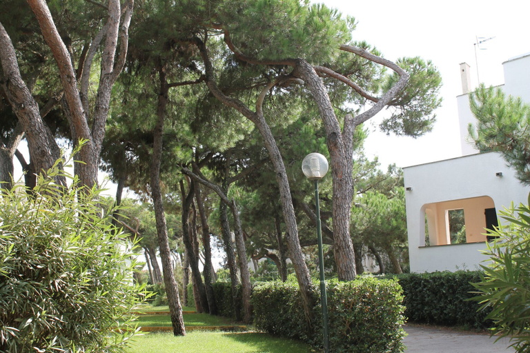 Others 4, Homeholiday Giulivo, Caserta