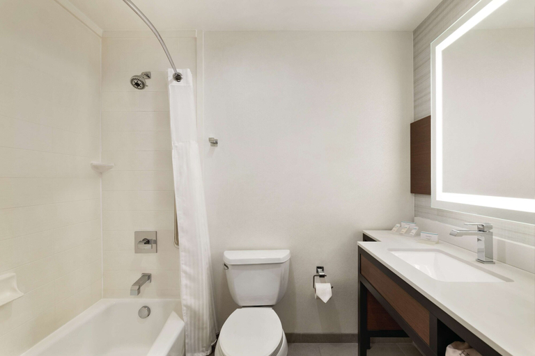 Bathroom 4, Hilton Garden Inn Oxford/Anniston, Calhoun