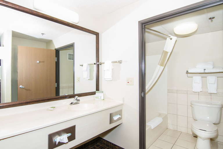 Bathroom 4, Americinn By Wyndham Peoria, Peoria