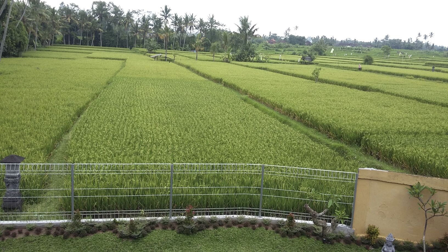 Exterior & Views 3, Bali Lane Villa, Gianyar