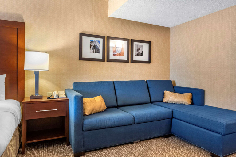 Others 5, Comfort Inn Meadowlands, Washington