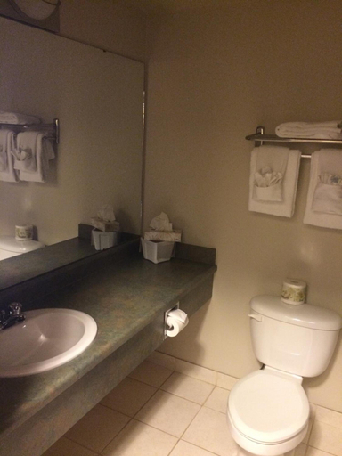 Bathroom 4, Foxwood Inn & Suites, Division No. 18