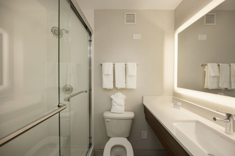 Bathroom 4, Holiday Inn Express Athens by IHG, Clarke