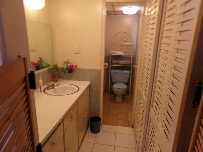 Bathroom, Daydream Beach at Montego Bay Club