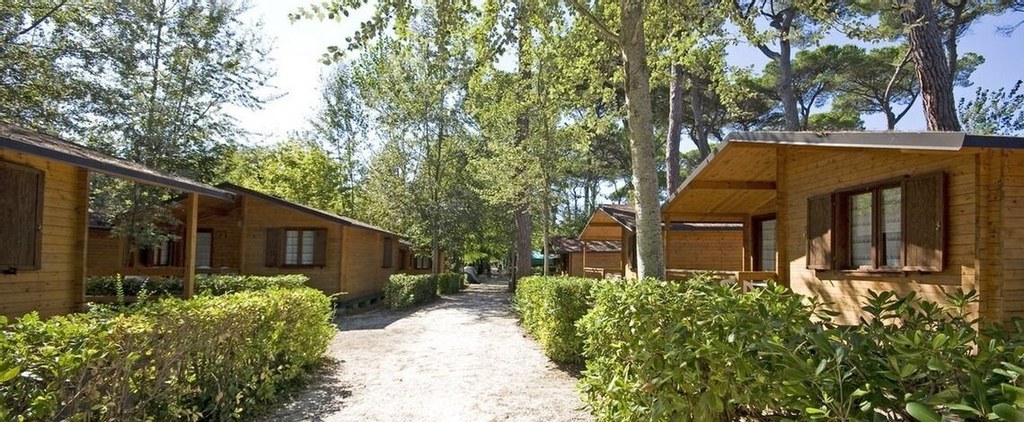 Bosco Verde Camping, Lucca
