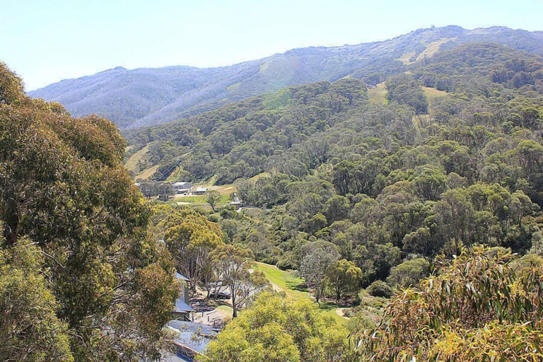 Others 5, Inala 3, Snowy River