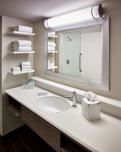 Bathroom 5, Hampton Inn by Hilton Sarnia/Point Edward, Lambton