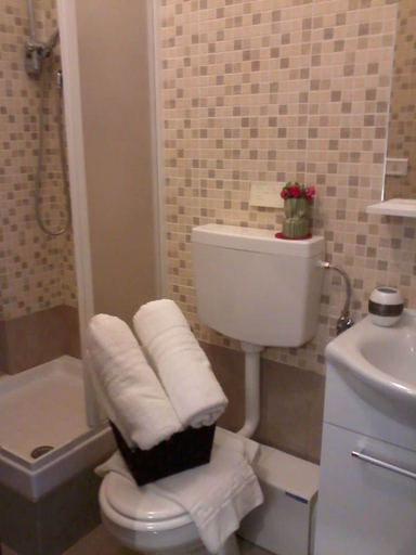 Bathroom 5, Vesta Domus, Roma