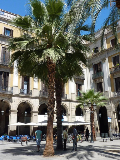 Exterior & Views 2, Hotel Roma Reial, Barcelona