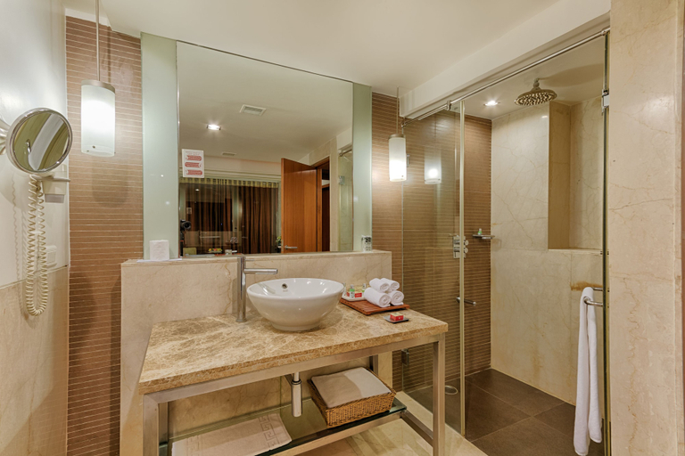 Bathroom 4, Quality Hotel D V Manor, Krishna