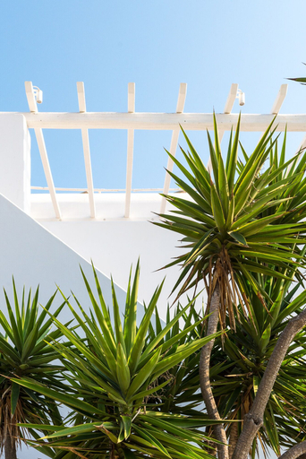 Exterior & Views 2, Vienoula's Garden, South Aegean