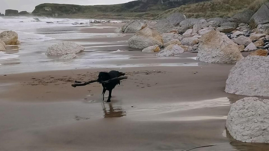 Others 5, Dunseverick Ramblers Rest, Causeway Coast and Glens