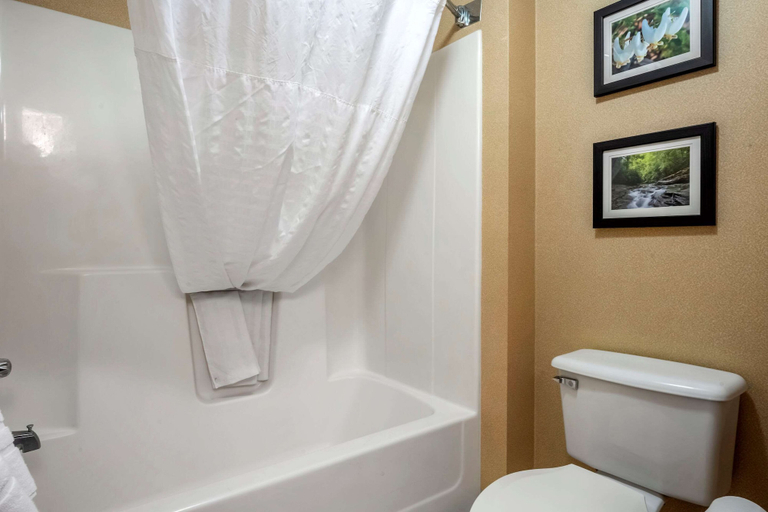 Bathroom 4, Comfort Inn Meadowlands, Washington