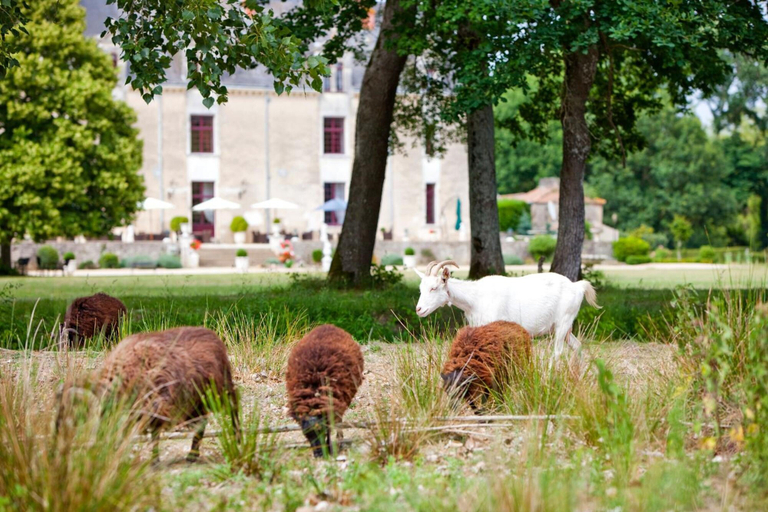 Exterior & Views 2, Chateau de la Verie, Vendée