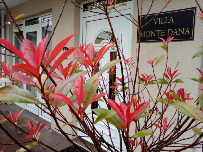 Exterior & Views 2, Villa Monte Dana Amsterdam, Haarlemmermeer