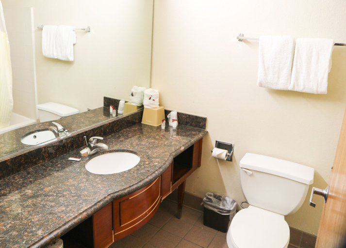 Bathroom 5, Budget Inn, Maricopa