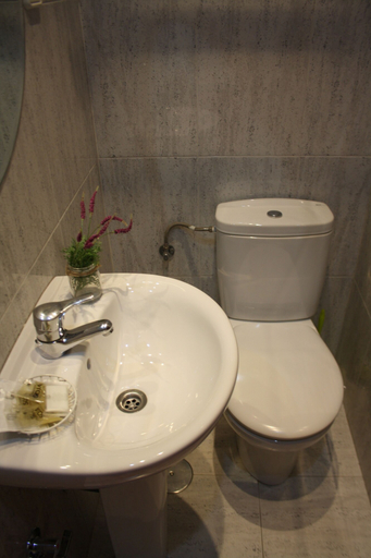 Bathroom 5, Hostal Rofer, Madrid