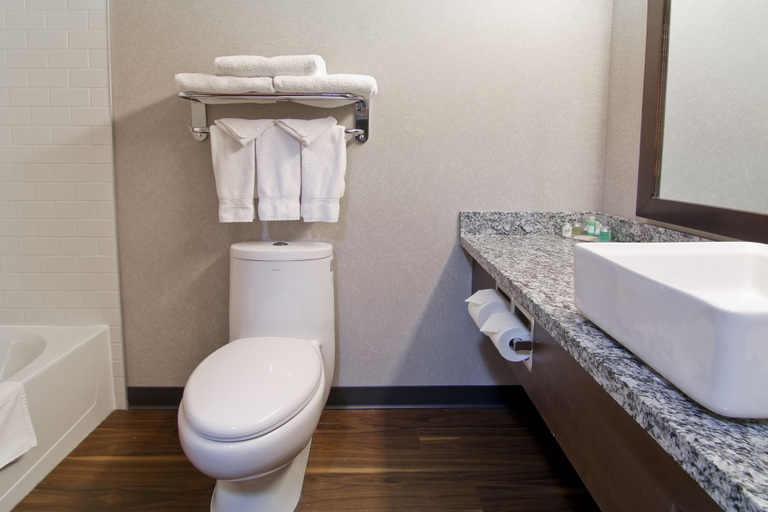 Bathroom 3, Home Inn and Suites Regina Airport, Division No. 6