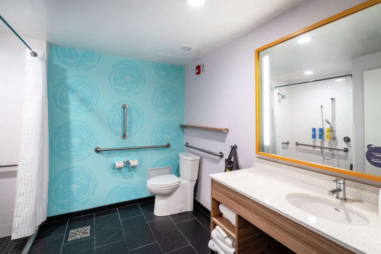 Bathroom 4, Tru By Hilton Greenville, Washington