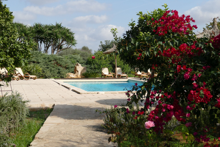 Sport & Beauty 2, Hotel Sa Carrotja - Adults Only, Baleares
