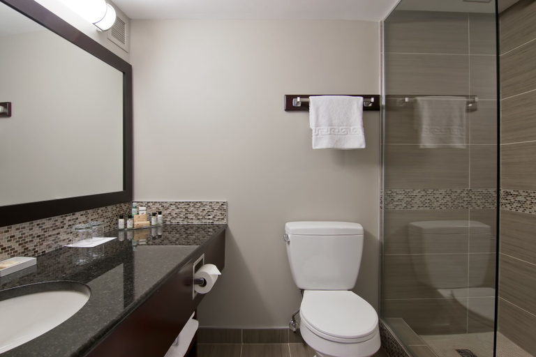 Bathroom 4, Chateau Lacombe Hotel, Division No. 11