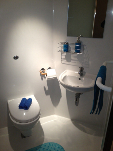Bathroom 4, Alton Apartments, Bradford