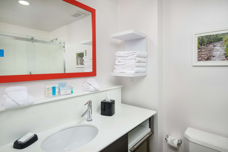 Bathroom 5, Hampton Inn by Hilton Eagle Pass, Maverick