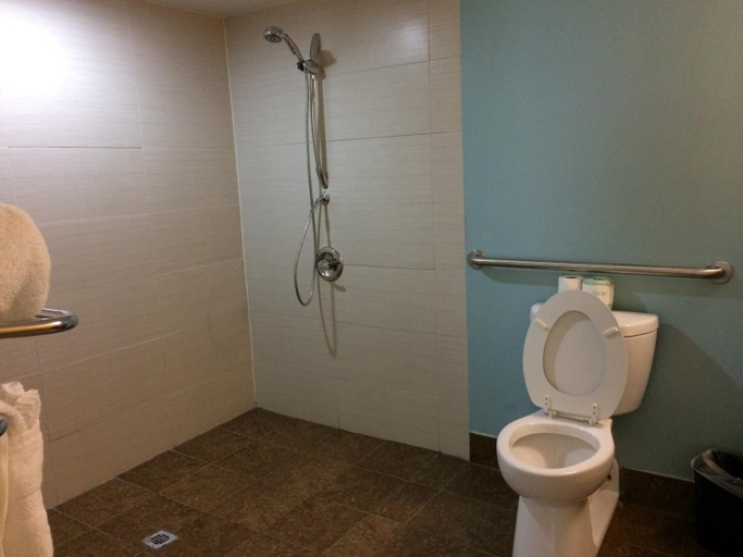 Bathroom 5, Econo Lodge, Jefferson