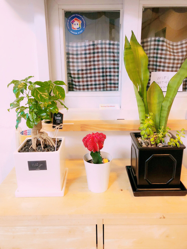 Others 5, Sarang Guesthouse Dongdaemun, Jung