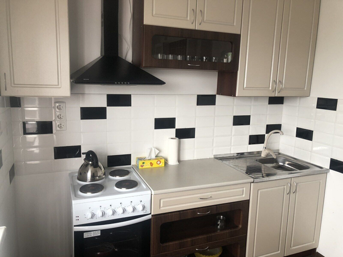 Others 5, New apartment in the Kyiv downtown, Shevchenkivs'kyi