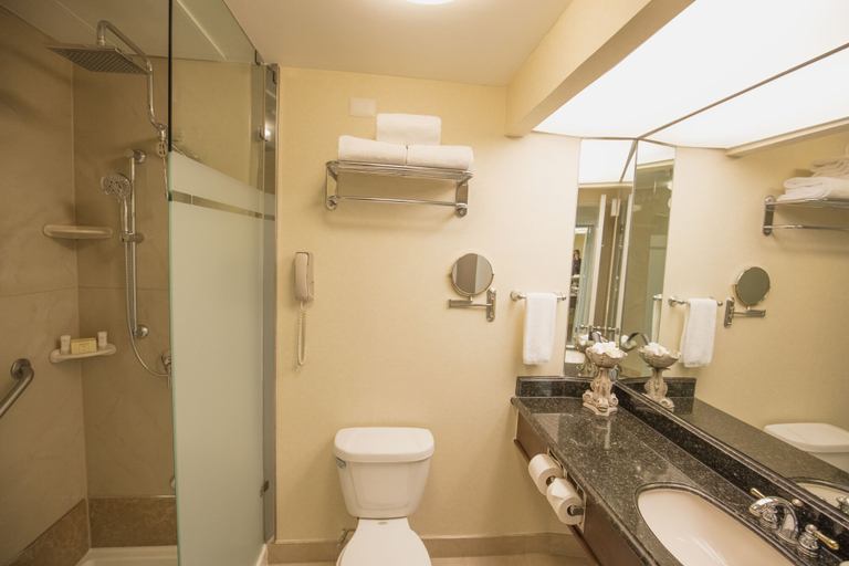 Bathroom 5, Safi Royal Luxury Valle, San Pedro Garza García