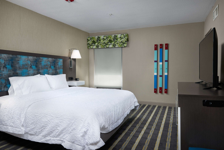 Bedroom 4, Hampton Inn by Hilton Eagle Pass, Maverick