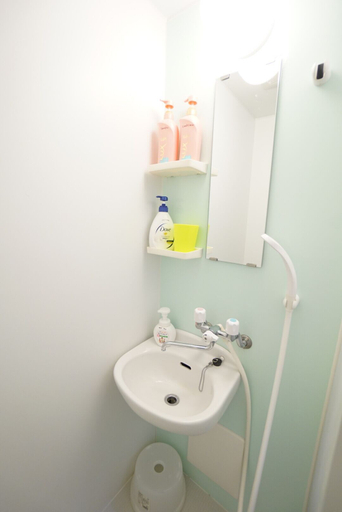 Bathroom 5, Terry's Apartment Namba South V C01F, Osaka