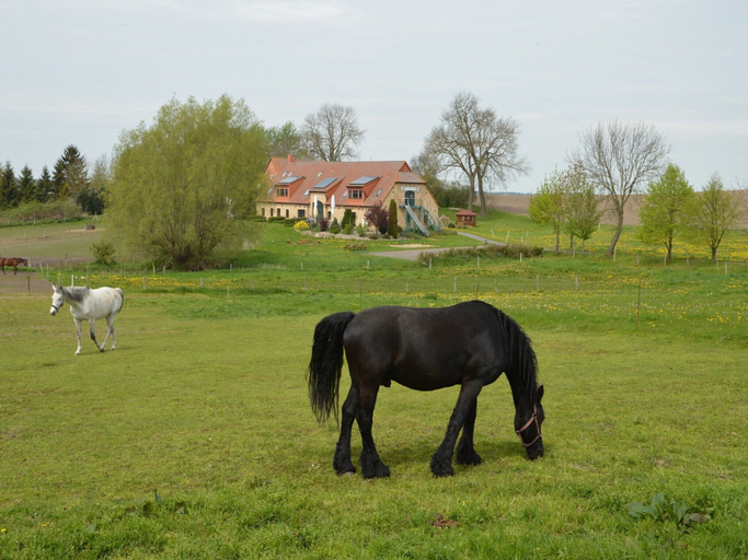 Others 5, Heu-Ferienhof Altkamp, Vorpommern-Rügen