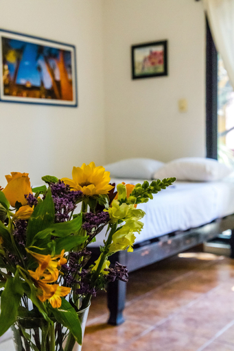 Bedroom 3, Moonshine Hotel, Cozumel