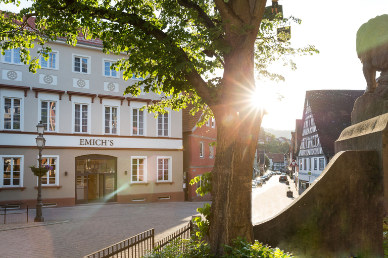 Exterior & Views 1, EMICHS Hotel, Miltenberg
