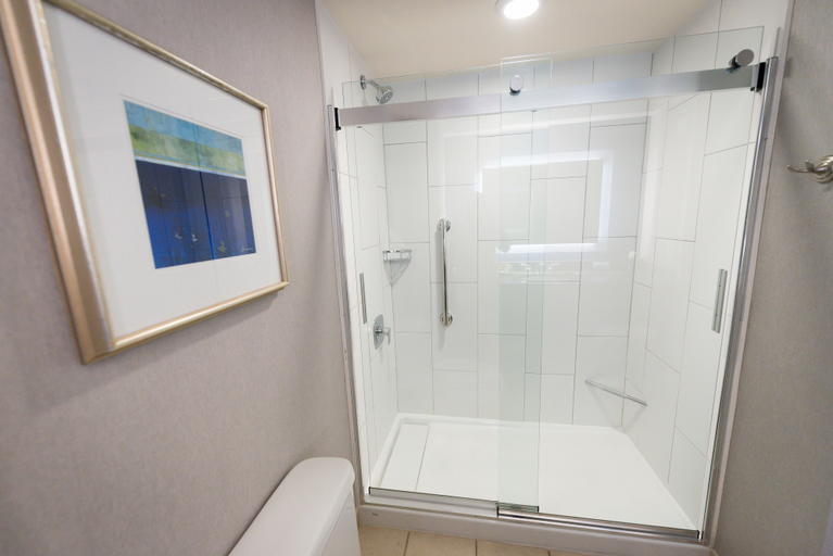 Bathroom 5, Hilton Scranton & Conference Center, Lackawanna