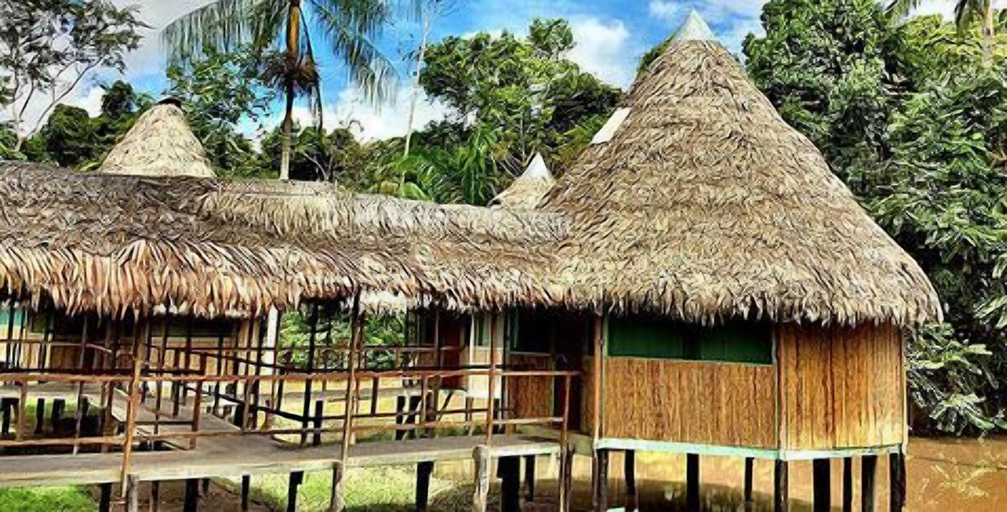 Others 5, Cumaceba Amazon Lodge, Maynas