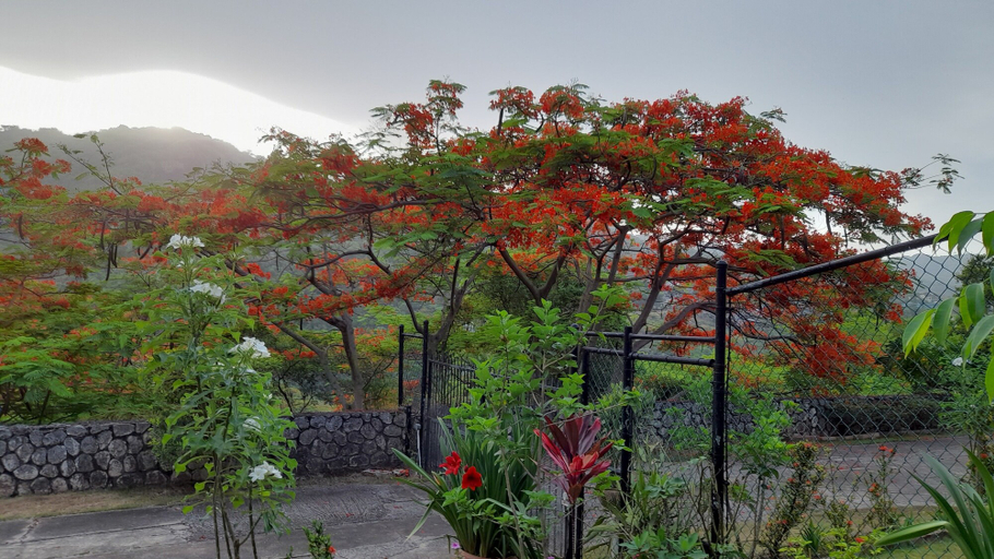 Others 5, Neita's Nest - Jamaican Bed & Breakfast